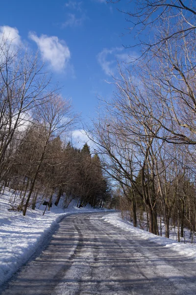 Yalnız yol, buz ve kar, kış orman manzarası, mavi sk