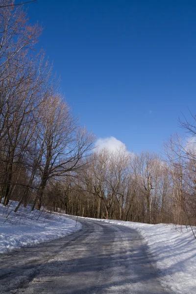 Yalnız yol, buz ve kar, kış orman manzarası, mavi sk