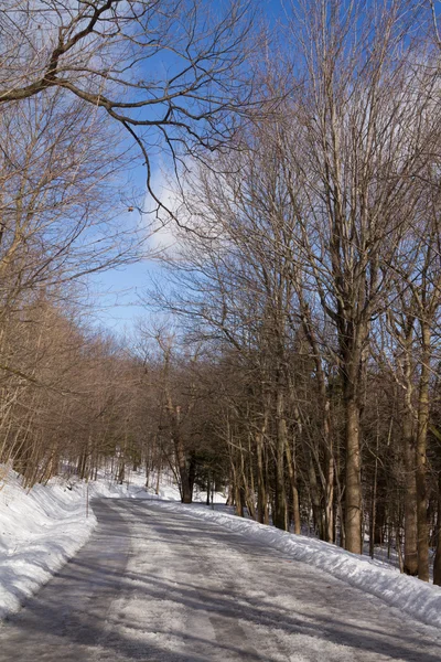 Yalnız yol, buz ve kar, kış orman manzarası, mavi sk