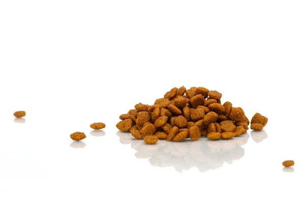 köpek ve kedi yiyecek