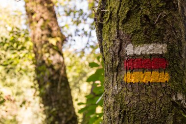 Hiking işaretleri doğru yönde işaretleme ağaç üzerinde