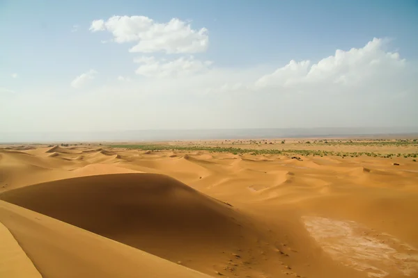 Landscape marroc desert sand dune — Stock Photo, Image