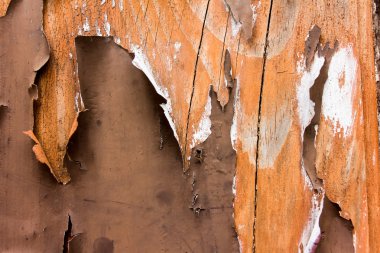 eski kahverengi doku ahşap