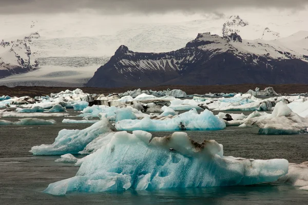 Isländsk glaciär Glaciärlagunen Stockbild