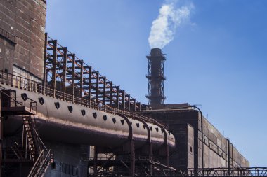 Briketler (1 üretimi için büyük bitki)