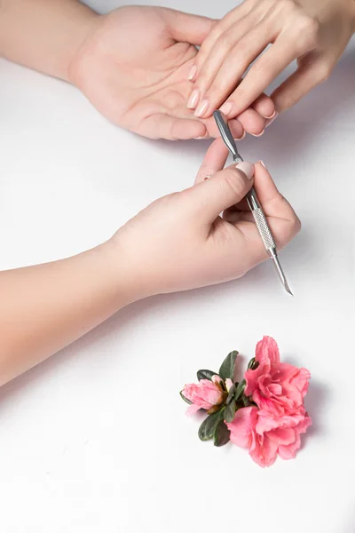 Şevval Özçelik Güzellik dosya bir müşteriye çivi.