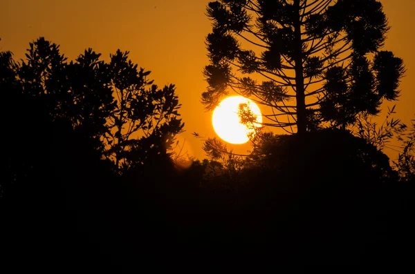 Hermosa puesta de sol brasileña en un Minas Gerais — Foto de Stock