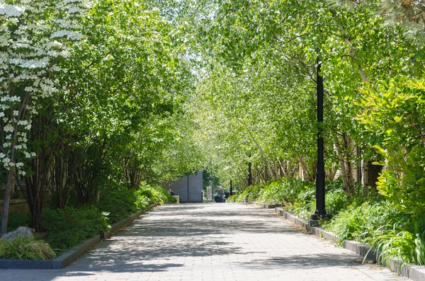 Alleyway na Universidade de Toronto, Ontário — Fotografia de Stock