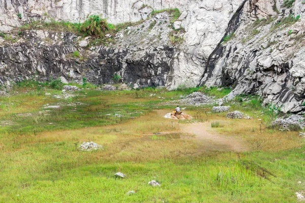 Minas Gerais, Brezilya, Aralık, 27 - 2015: adam kapalı bir yol zevk doğada kırsal bir çamur göl üzerinden dört kiralama.