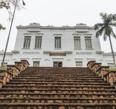Butantan Enstitüsü hayati Brezilya binanın cephe