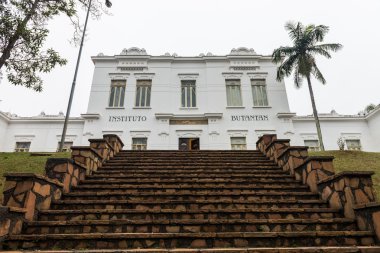 Butantan Enstitüsü hayati Brezilya binanın cephe