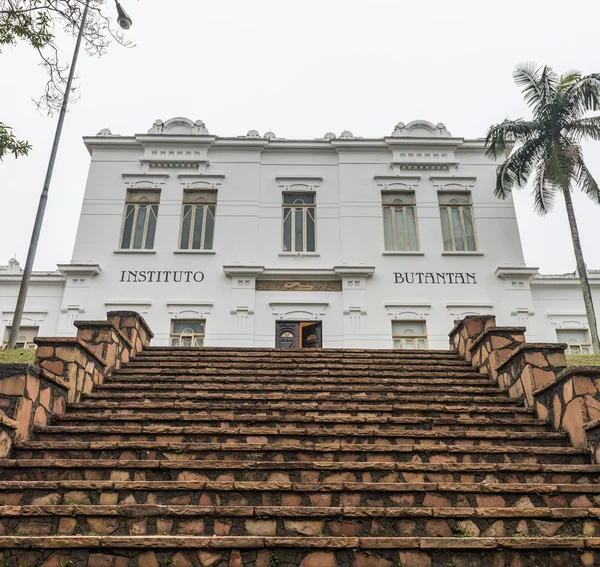 Butantan Enstitüsü hayati Brezilya binanın cephe