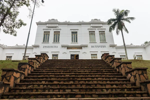 Butantan Enstitüsü hayati Brezilya binanın cephe