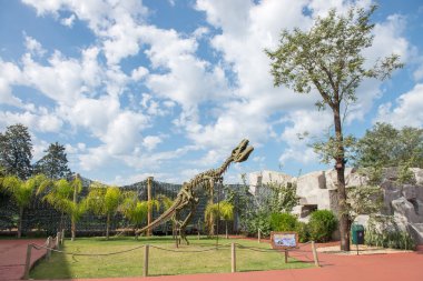 Dinozorlar Vadisi Parkı, Rex Tyrannosaurus 