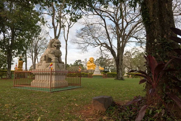 Čínská Klasická Buddah Kamennými Lvy Chrámu Foz Iguazu Brazílie — Stock fotografie