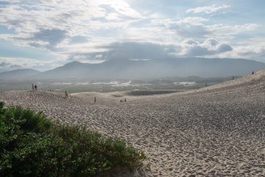Florianopolis, Santa Catarina, Brezilya Joaquina beach. 