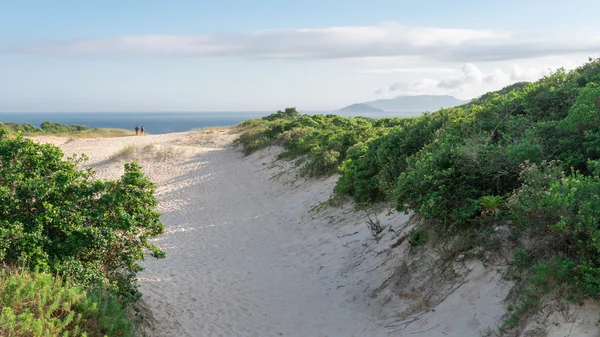 Playa de Joaquina en Florianopolis, Santa Catarina, Brasil . — Foto de Stock