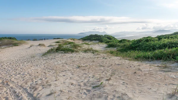 Joaquina beach i Florianópolis, Santa Catarina, Brasilien. — Stockfoto