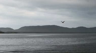 Florianopolis, Brezilya Conceicao lagoon