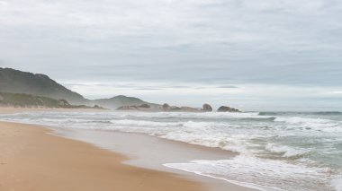 Florianopolis, Santa Catarina, Brezilya Beach'te köstebek. 