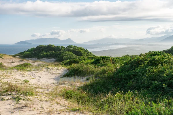 Praia da Joaquina em Florianópolis, Santa Catarina, Brasil . — Fotografia de Stock