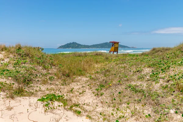 Krásná Krajina Campeche Beach Santa Catarina Florianopolis Brazílie Jedním Hlavních — Stock fotografie