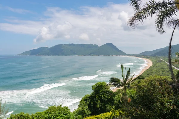 Beach Armacao v Florianopolis, Santa Catarina, Brazílie. — Stock fotografie