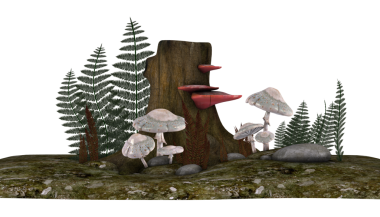 Perili orman mantarları