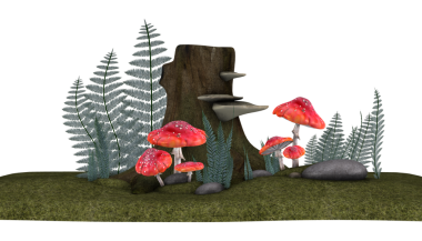 Perili orman mantarları