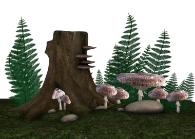 Perili orman mantarları