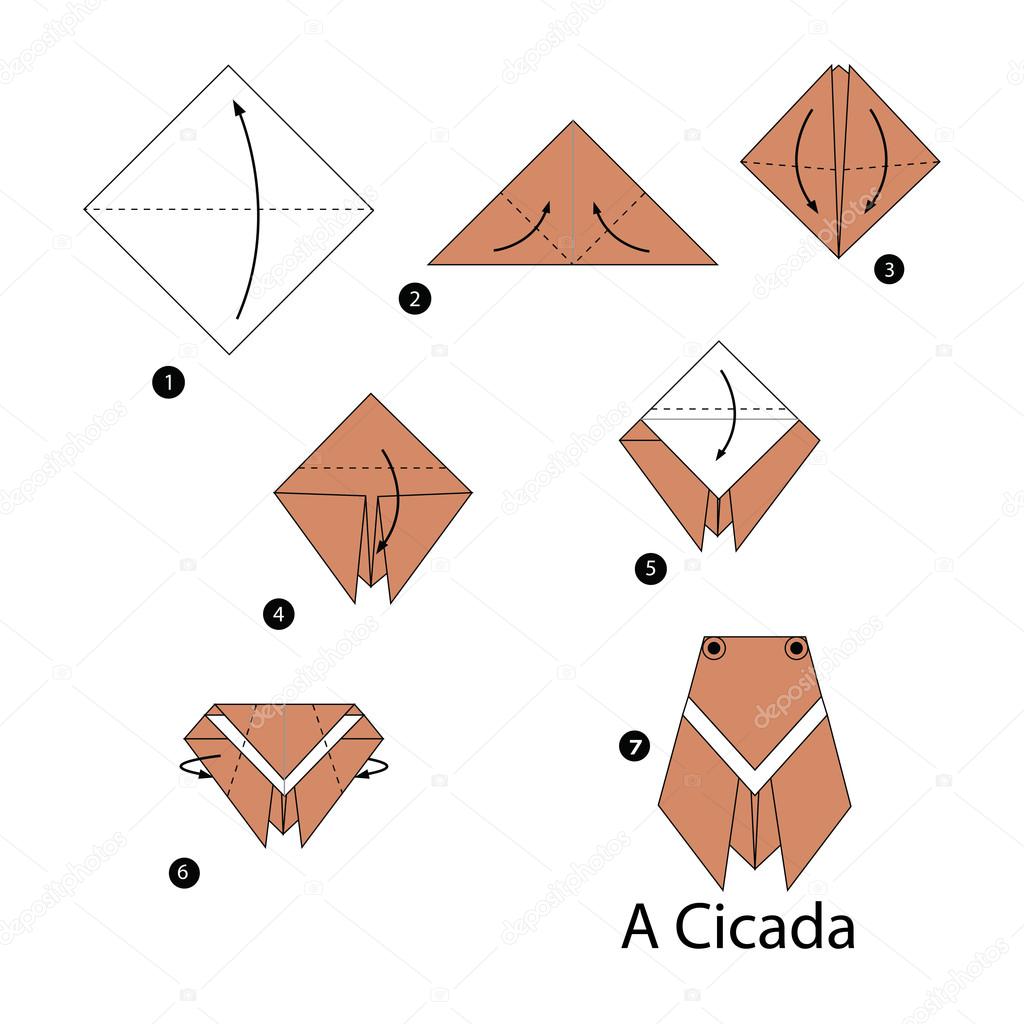 step by step instructions how to make origami a cicada.