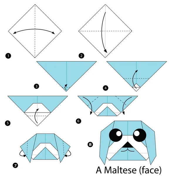Tutoría De Papiroflexia. Esquema De Origami Para Niños Mariquita.  Ilustraciones svg, vectoriales, clip art vectorizado libre de derechos.  Image 195013395