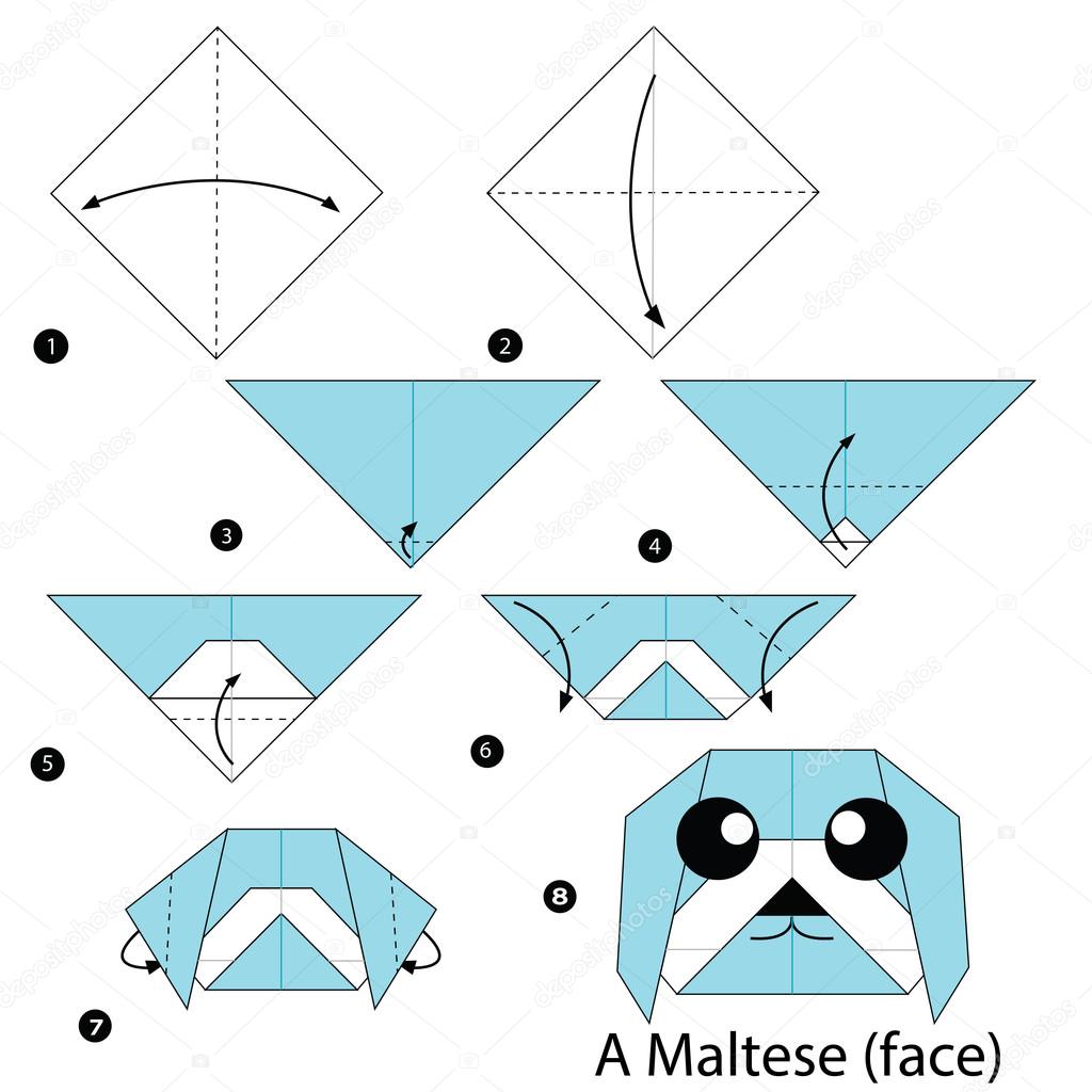step by step instructions how to make origami A Maltese.