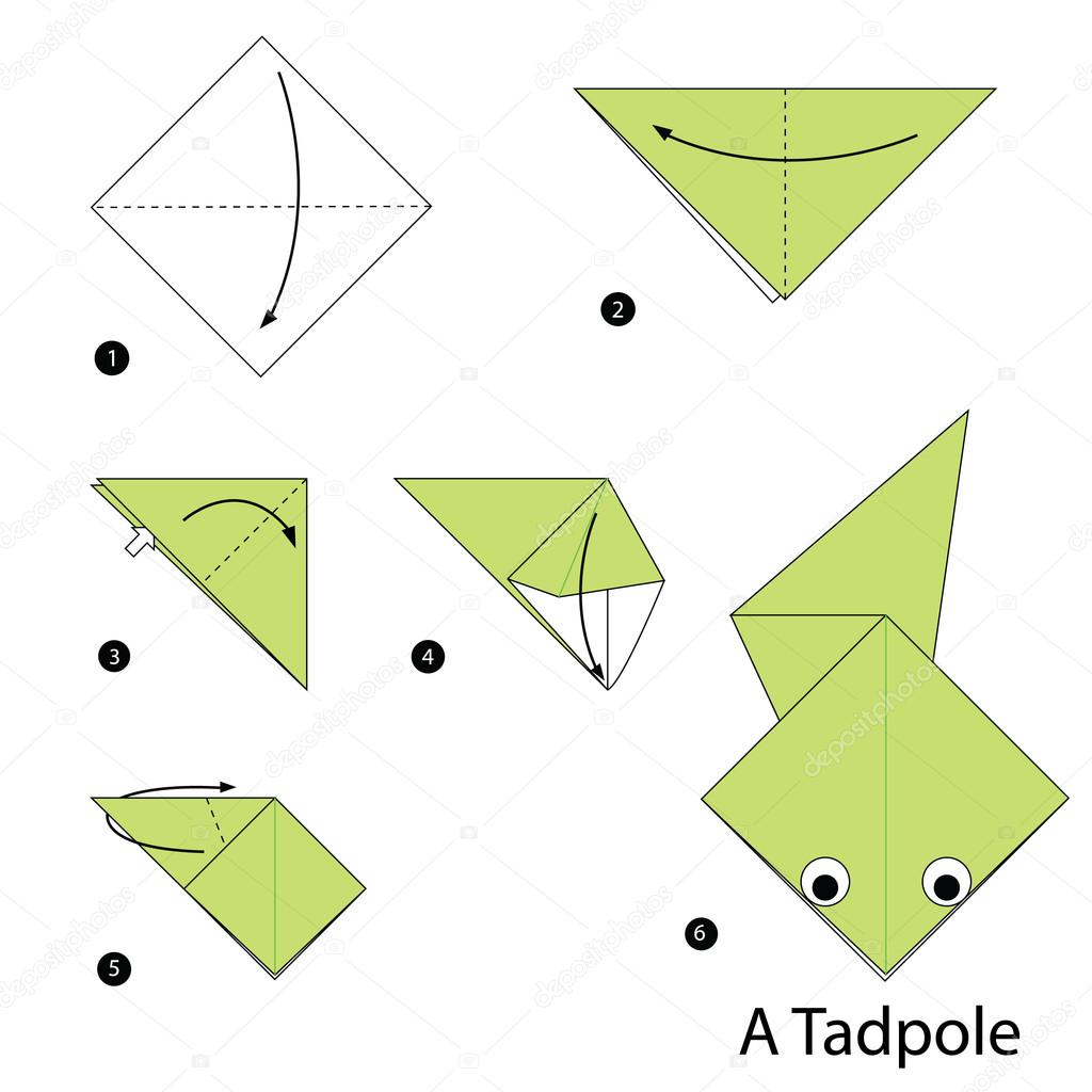Tadpolストックベクター ロイヤリティフリーtadpolイラスト ページ 2 Depositphotos Tadpolストックベクター ロイヤリティフリーtadpolイラスト ページ 2 Depositphotos