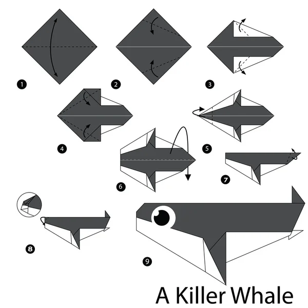종이 접기 A 범 고래를 확인 하는 방법을 단계 지침에 의해 단계. — 스톡 벡터