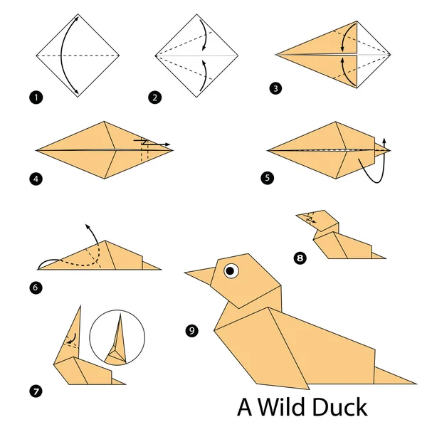 Step by step instructions how to make origami A Wild Duck. — Stock Vector