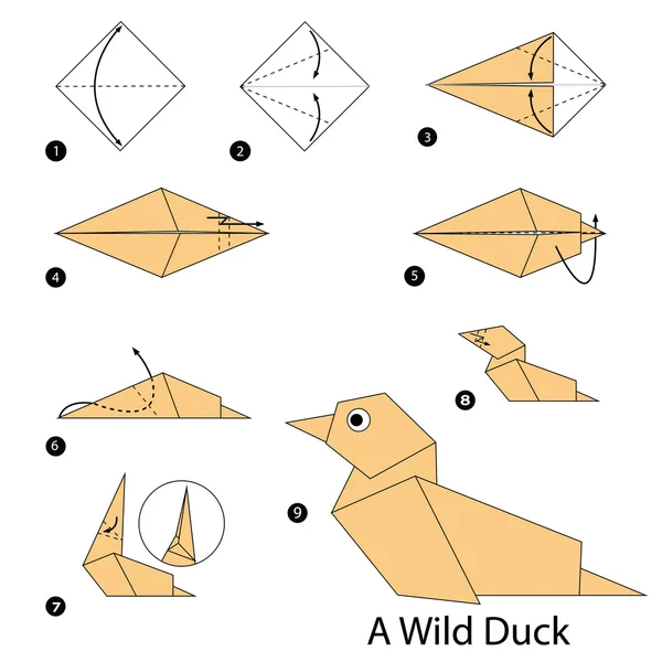 종이 접기 A 야생 오리를 확인 하는 방법을 단계 지침에 의해 단계. — 스톡 벡터