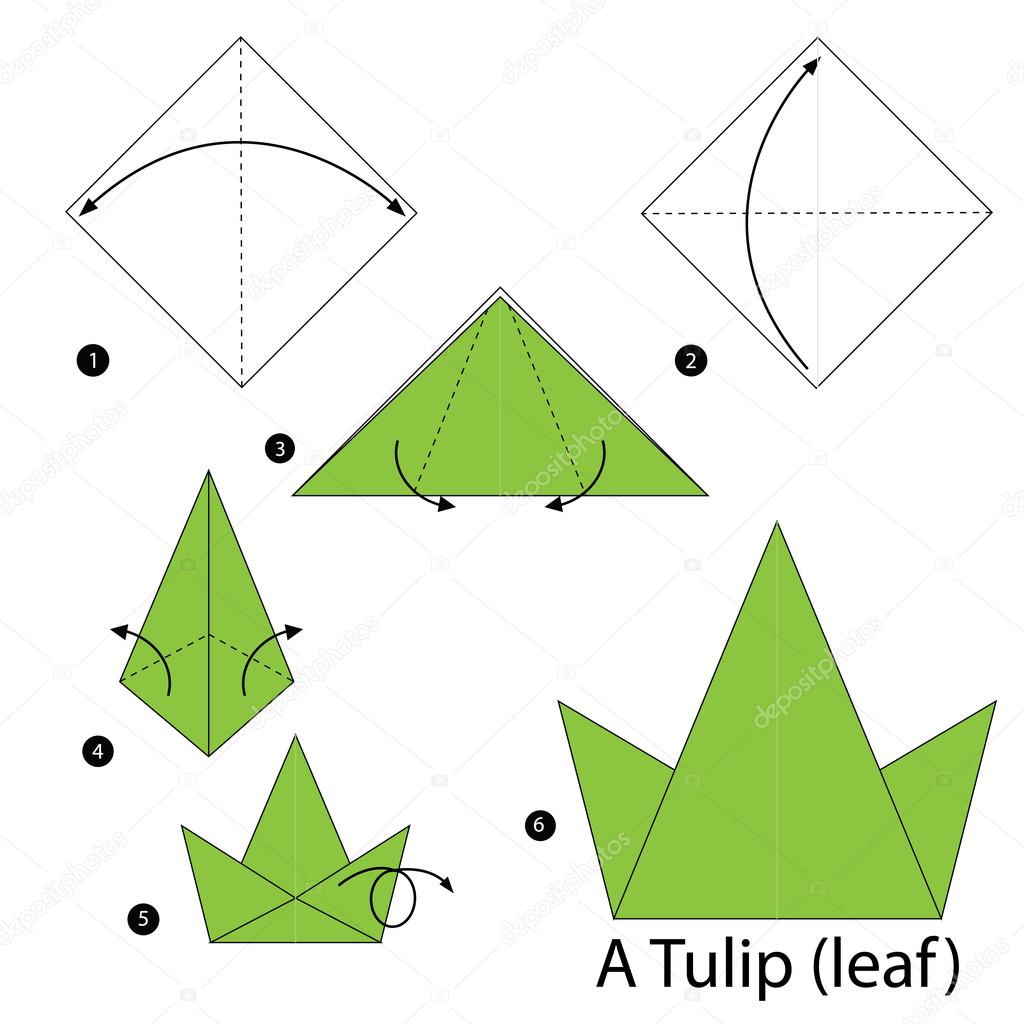 Step By Step Instructions How To Make Origami A Tulipleaf