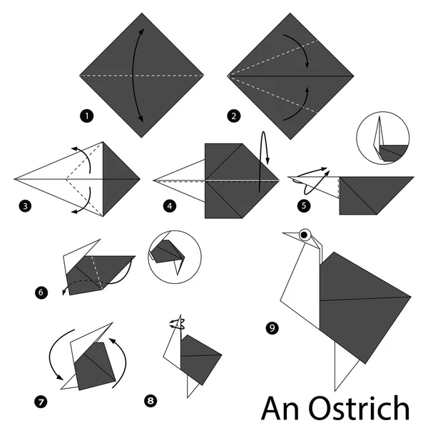 Step by step instructions how to make origami An Ostrich. — Stock Vector