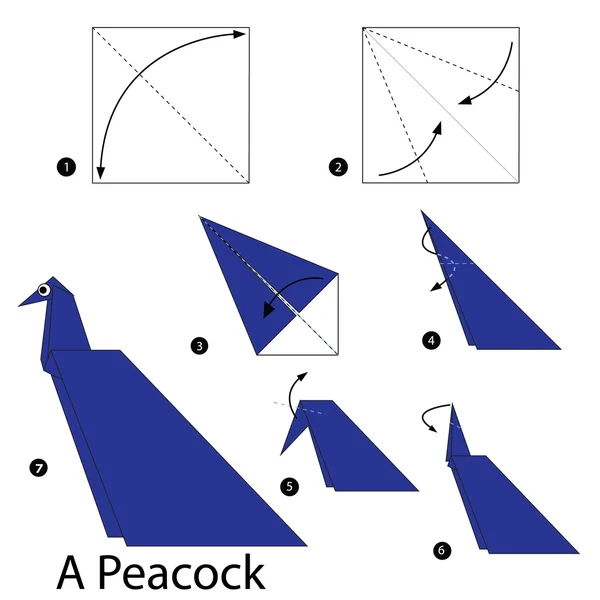 Schritt für Schritt Anleitung, wie man aus Origami einen Pfau macht. — Stockvektor