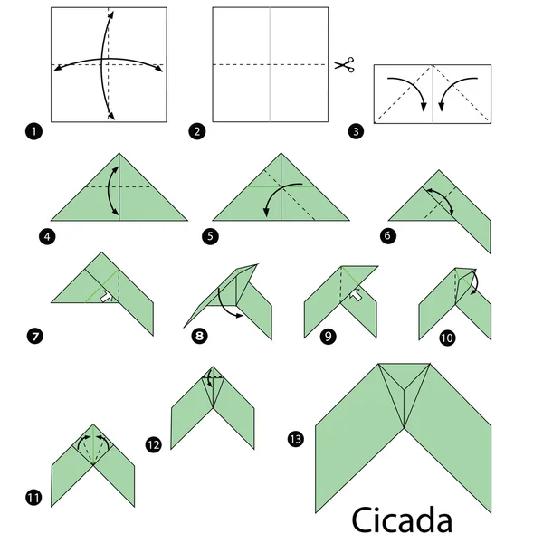 Schritt für Schritt Anleitung, wie man aus Origami eine Zikade macht. — Stockvektor