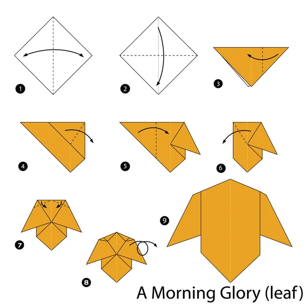 Instruções passo a passo como fazer origami A Morning Glory . —  Vetores de Stock