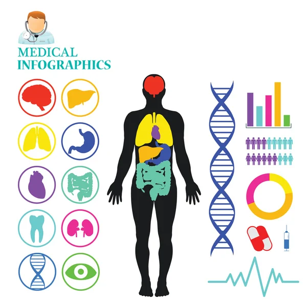 Informacje medyczne graficzne. Informacje medyczne Kolekcja elementów graficznych. Ikony medyczne, zdrowie i opieka zdrowotna oraz elementy danych, symbole infografiki serca, mózgu, nerek i innych narządów ludzkich — Wektor stockowy