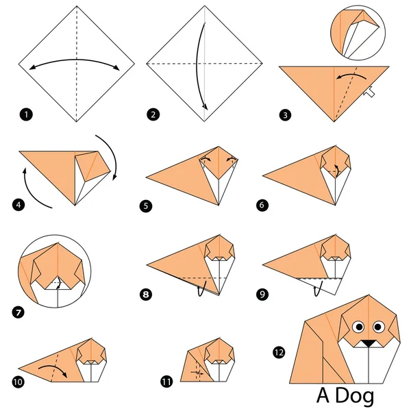 Instrucciones paso a paso cómo hacer origami Un perro . — Vector de stock