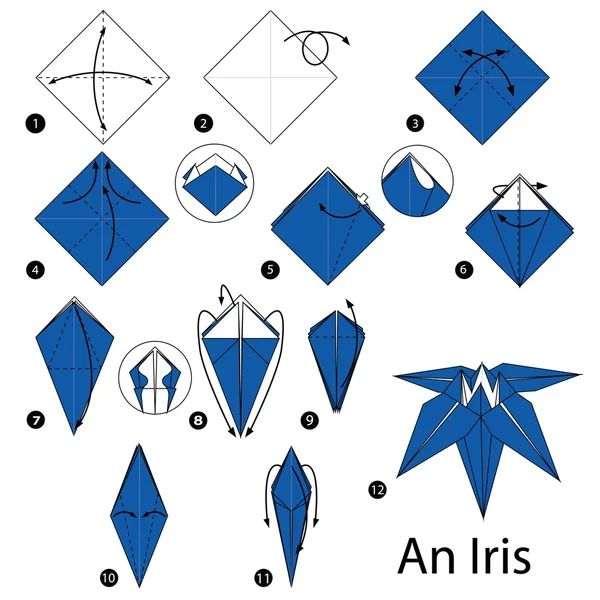 Adım adım adım talimatlar origami bir Iris yapmak nasıl. — Stok Vektör