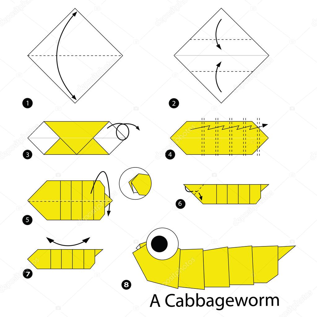 instrucciones paso a paso cómo hacer origami Un gusano de col. 2023