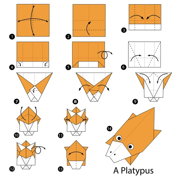 Adım adım adım talimatlar origami A Platypus yapmak nasıl. — Stok Vektör