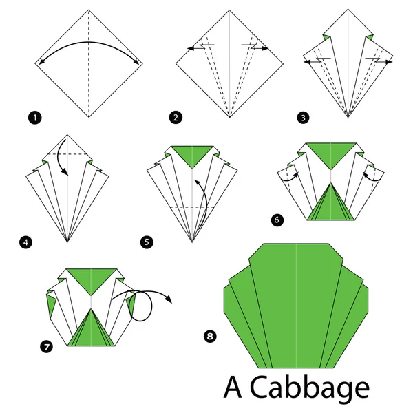 Lépésről lépésre Hogyan készítsünk origami A káposzta. — Stock Vector