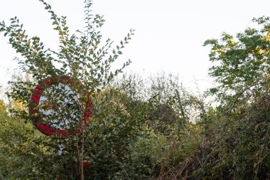 Trafik işaretleri kirli ya da boyanmış ağaç dallarıyla kaplıyken çok tehlikelidir. Bu işaret sollama yasağını gösteriyor.