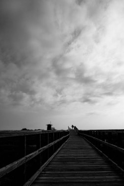 Cennete giden yolu takip ediyorum.